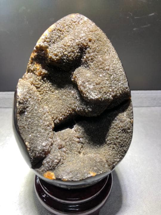 セプタリアン 特大サイズ卵