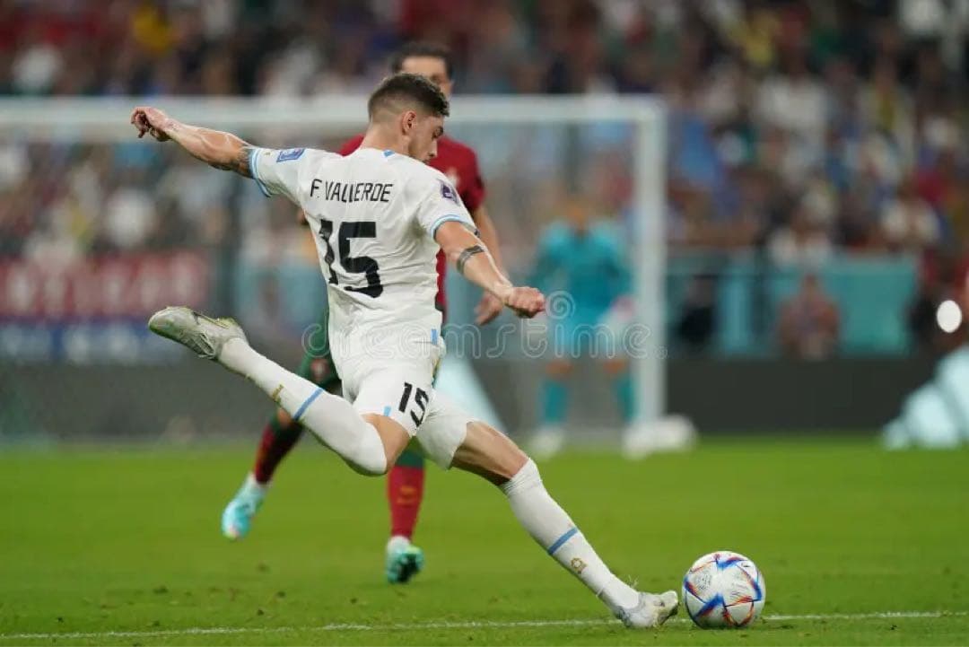 正規品　ウルグアイ代表　バルベルデ　ユニフォーム