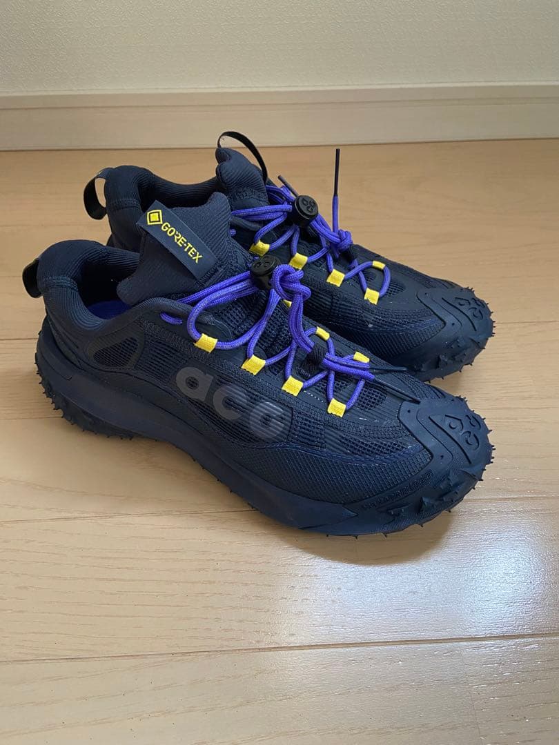 靴 NIKE ACG MOUNTAIN FLY 2 LOW GTX GORE-TEX