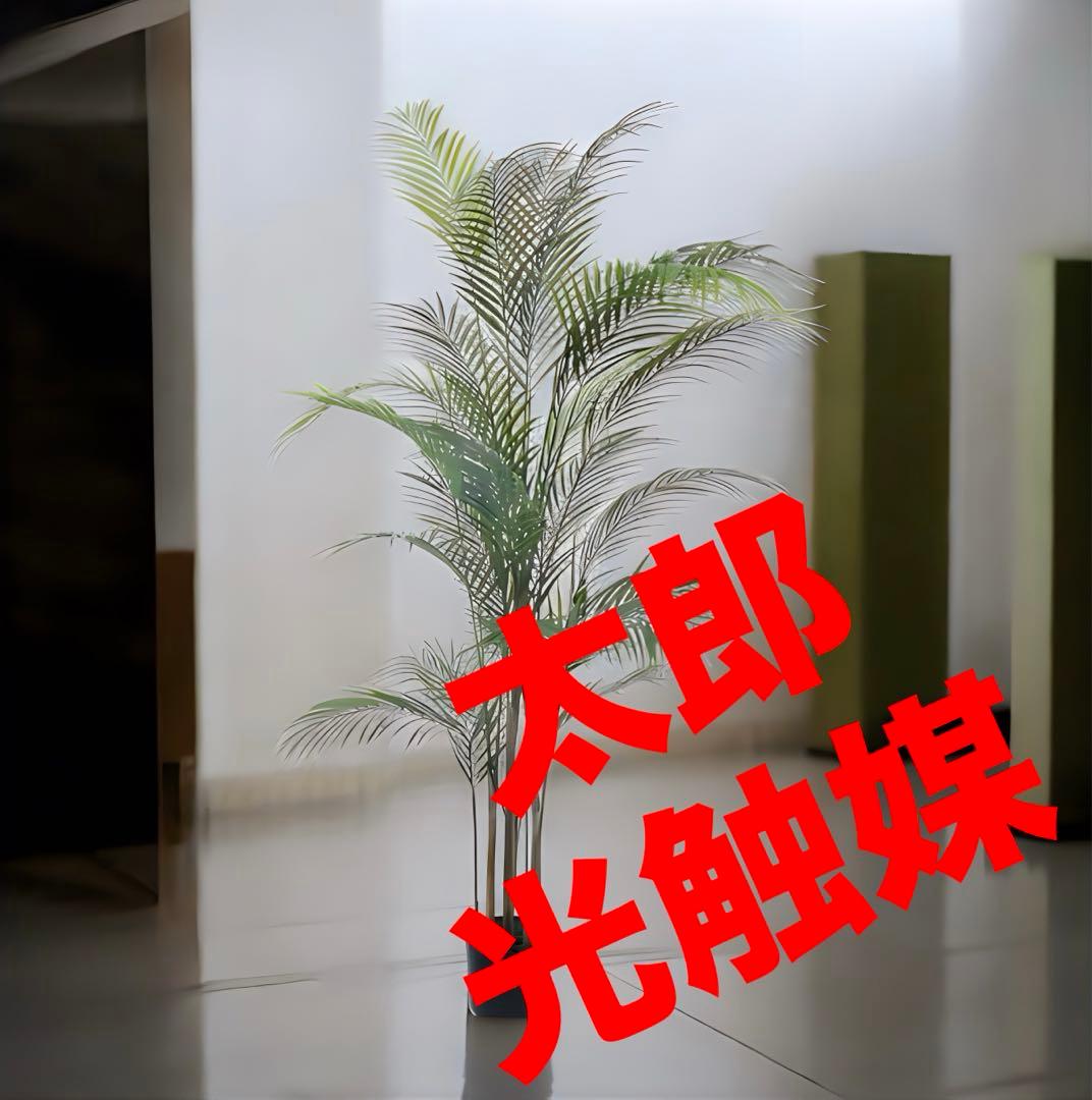 光触媒　人工観葉植物　ウォールグリーン　フェイクグリーン　アレカヤシヤシの木
