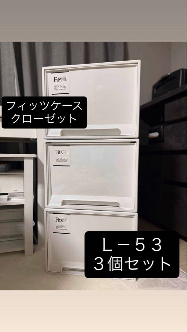 Fits フィッツ 衣装ケース モノMONO ホワイト L-53 ×3個セット