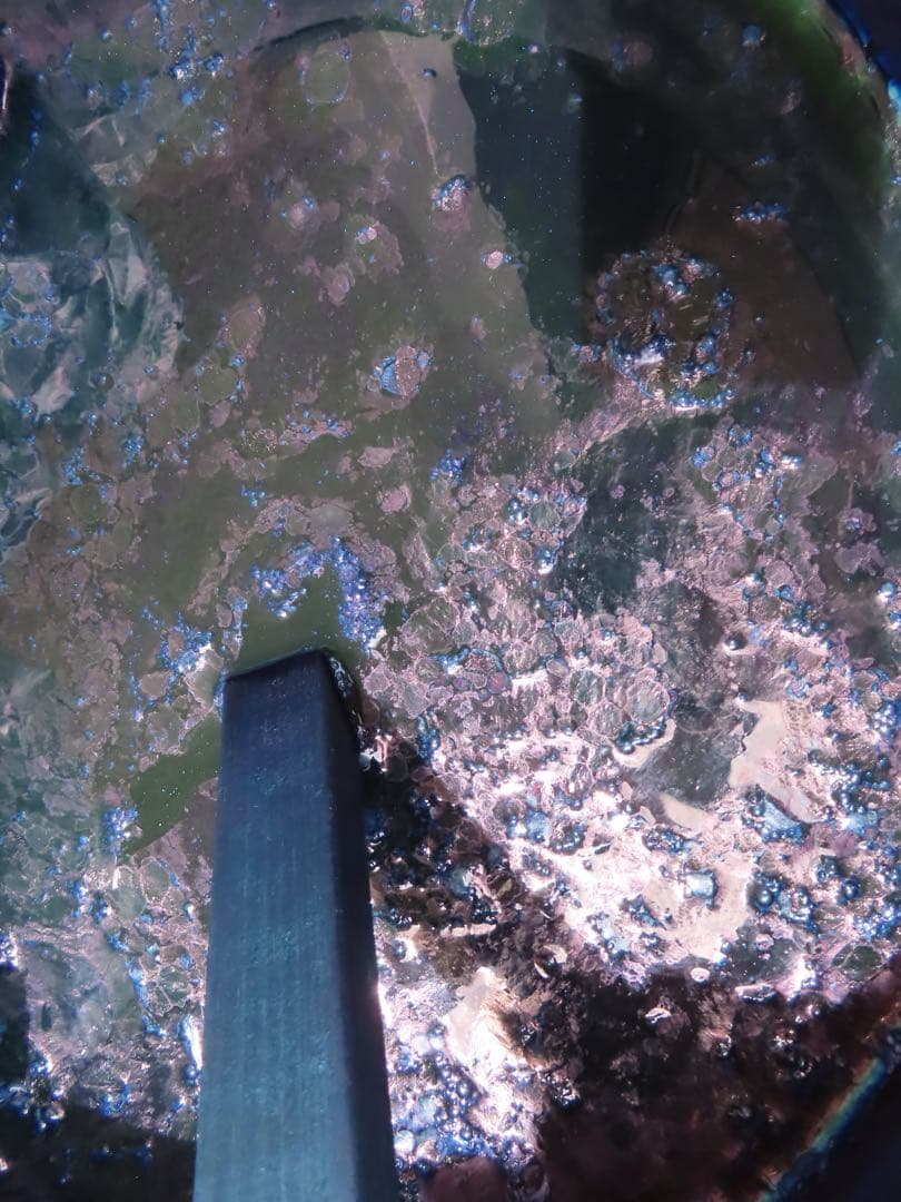 2026 正藍染　鯉のぼり　大単体　名入れあり