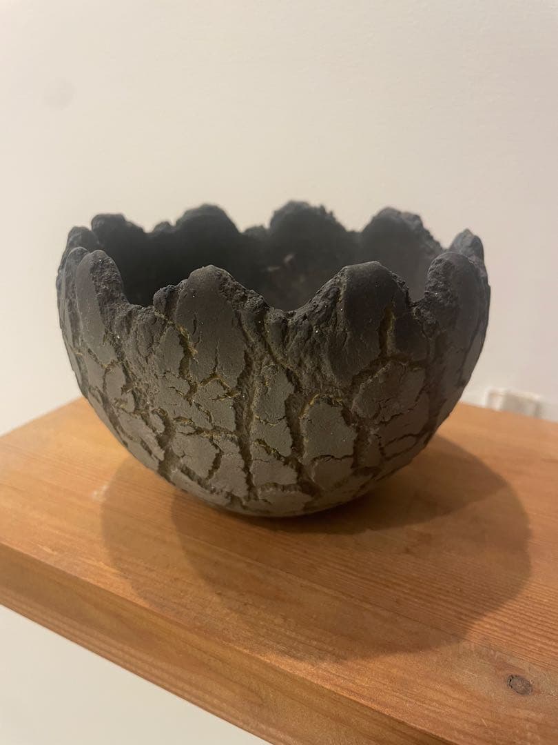 セキグチ　タカヒトOpot