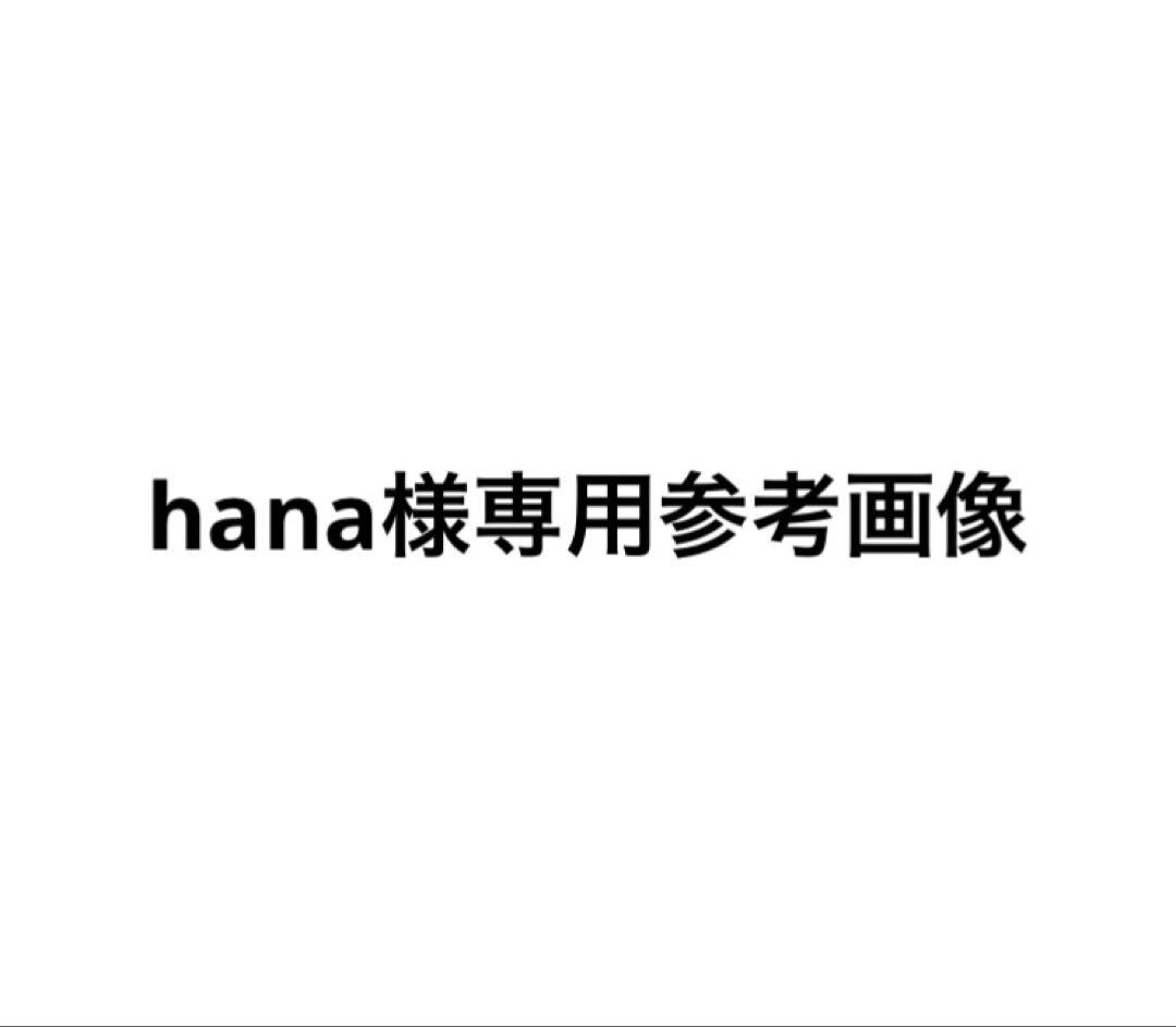 hana参考画像