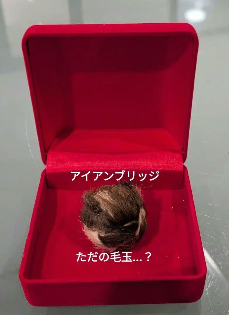 【激レア！】タイのお守りプラクルアン！タイガーアイ？箱付き！幸運&金運アップ！