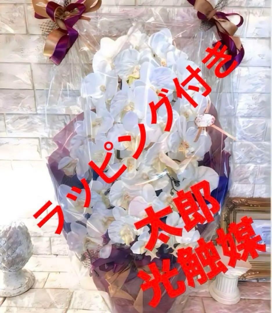 光触媒　人工観葉植物　ウォールグリーン　フェイクグリーン　胡蝶蘭754545@