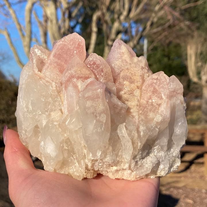 ドリームシクルレムリアンシード クラスター