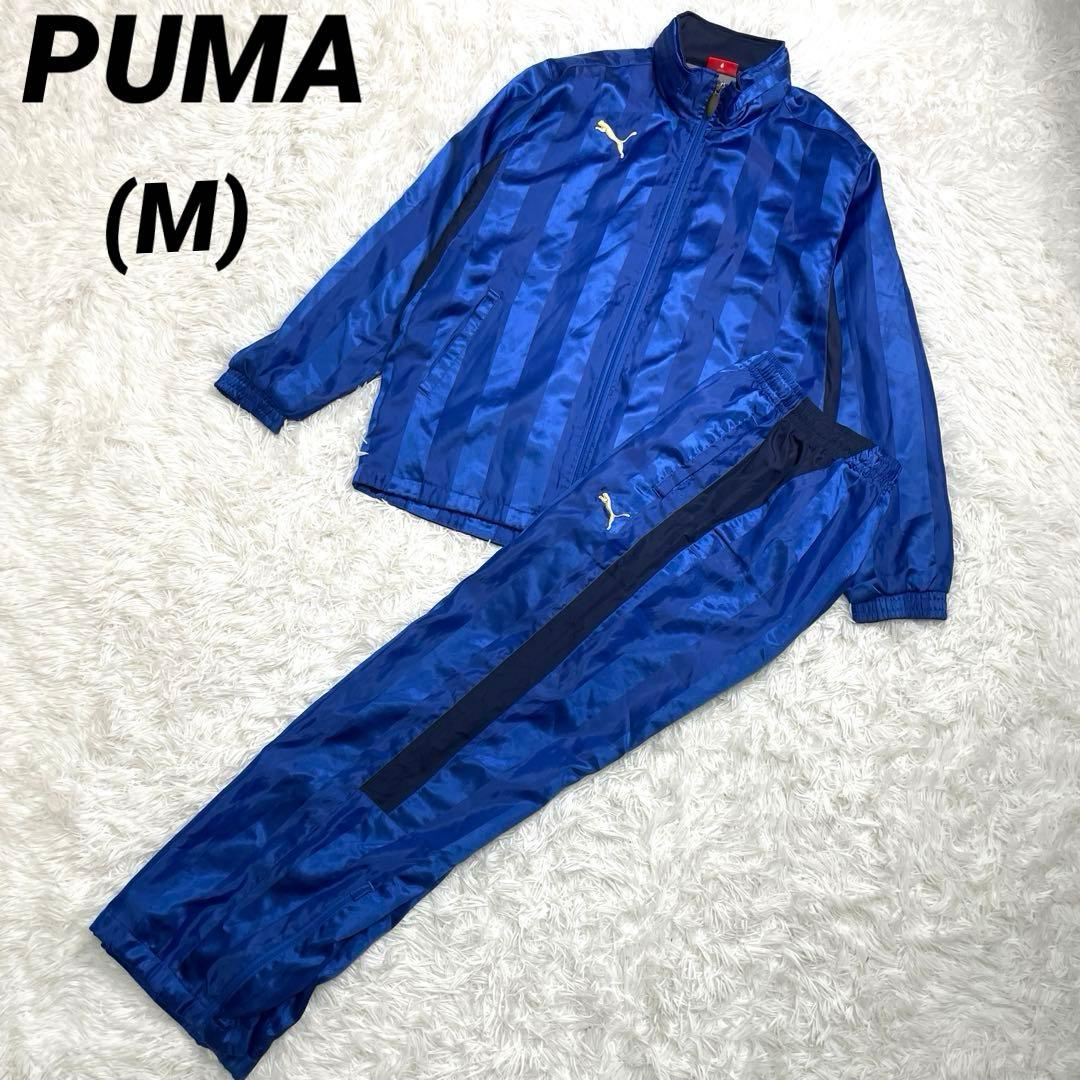 PUMA プーマ　上下セットアップ　青　ストライプ　光沢　スポーツジム　部活