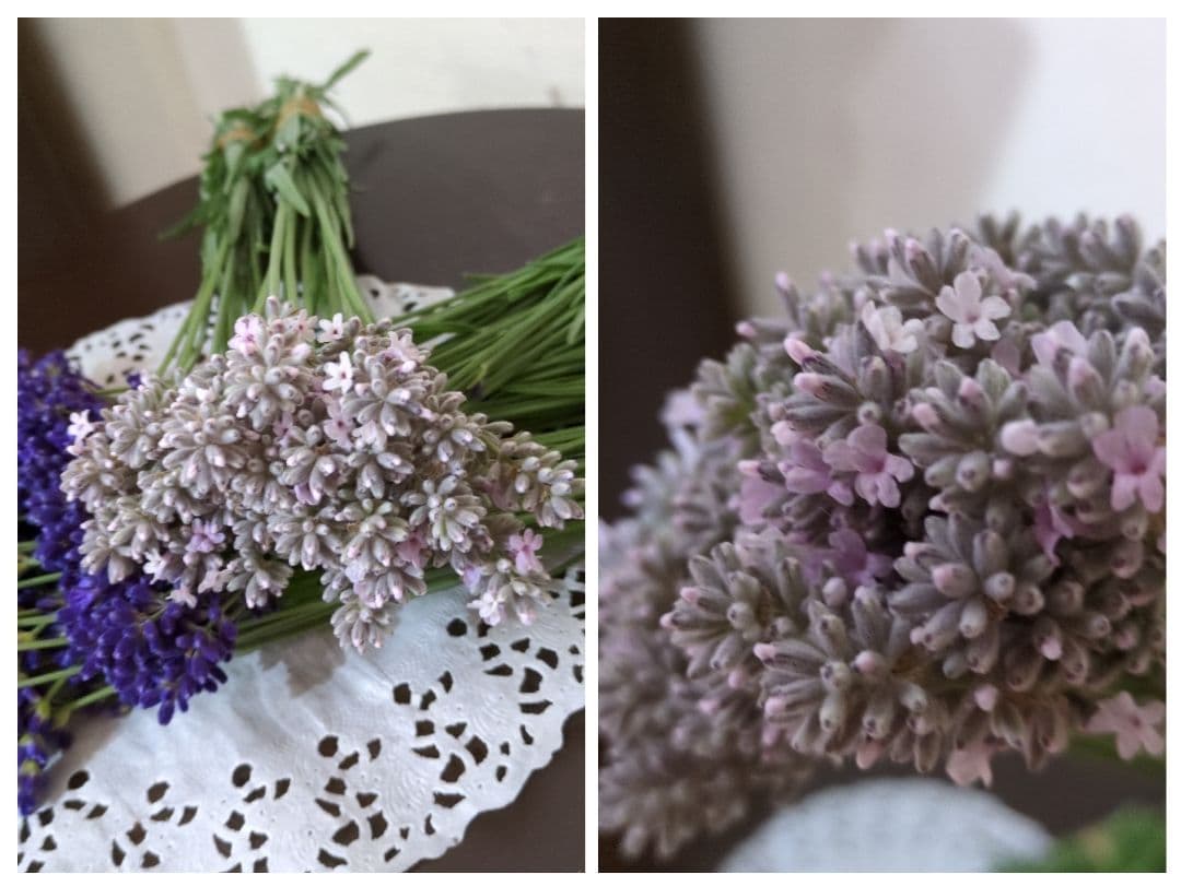 ✿専用✿ラベンダー　ドライフラワー