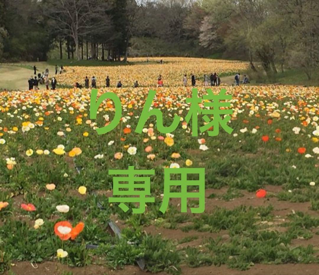 りん　　　七五三 羽織・袴セット 一式（小さめさん）直ぐに着られます