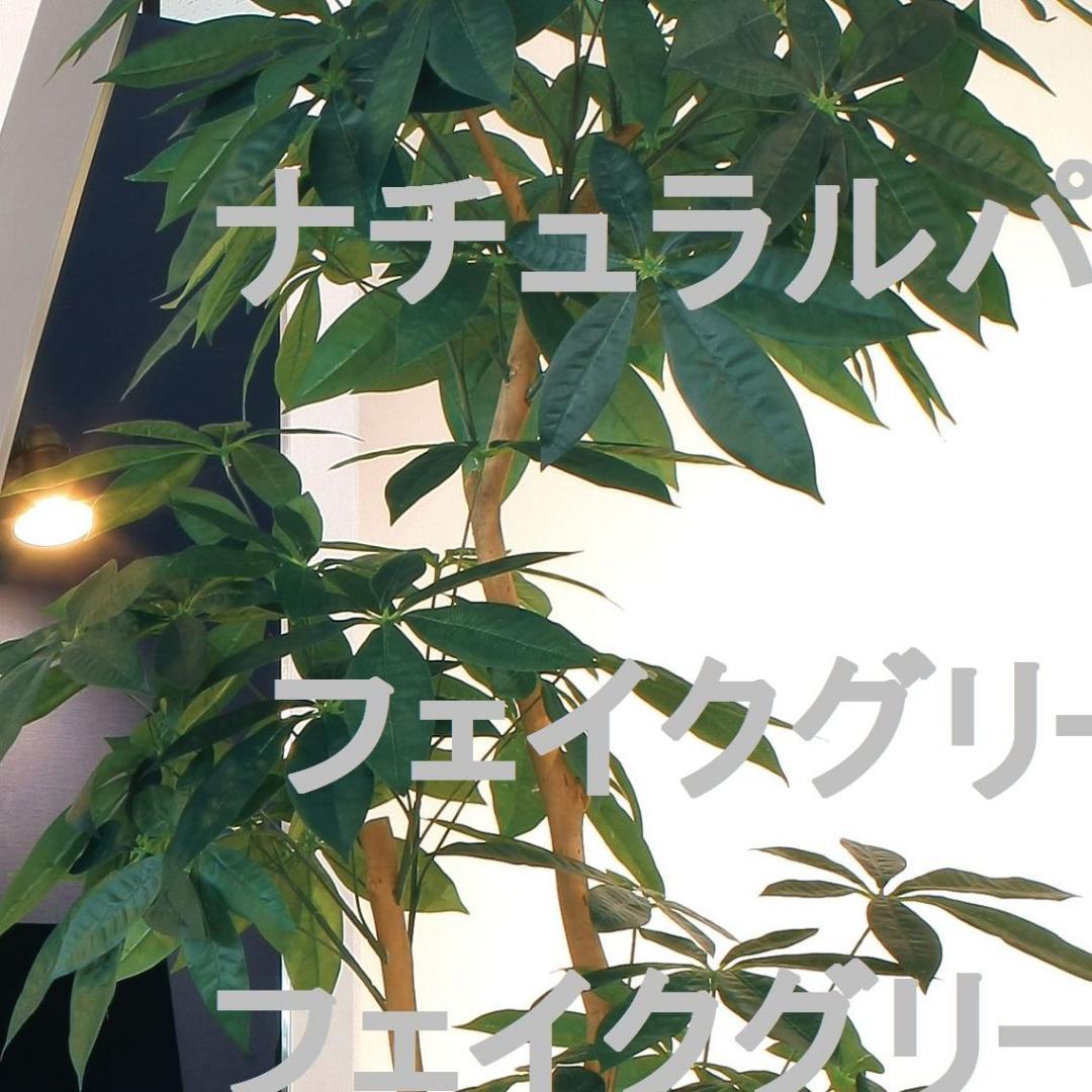 ☆日本製☆☆☆フェイクグリーン ナチュラルパキラ1.8 高さ1.8m 光の楽園
