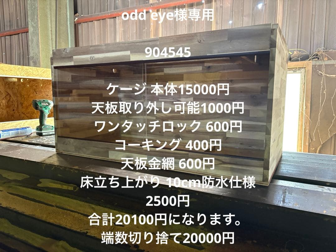 odd eye　904545アカシア