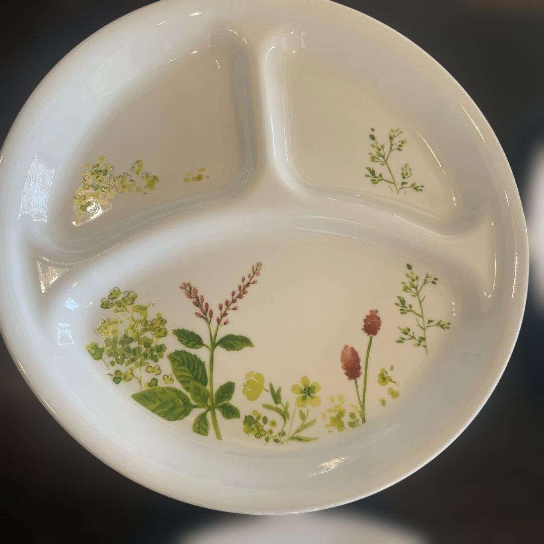 CORELLE コレール プロヴァンスガーデン 26㎝ 4枚セット　ワンプレート