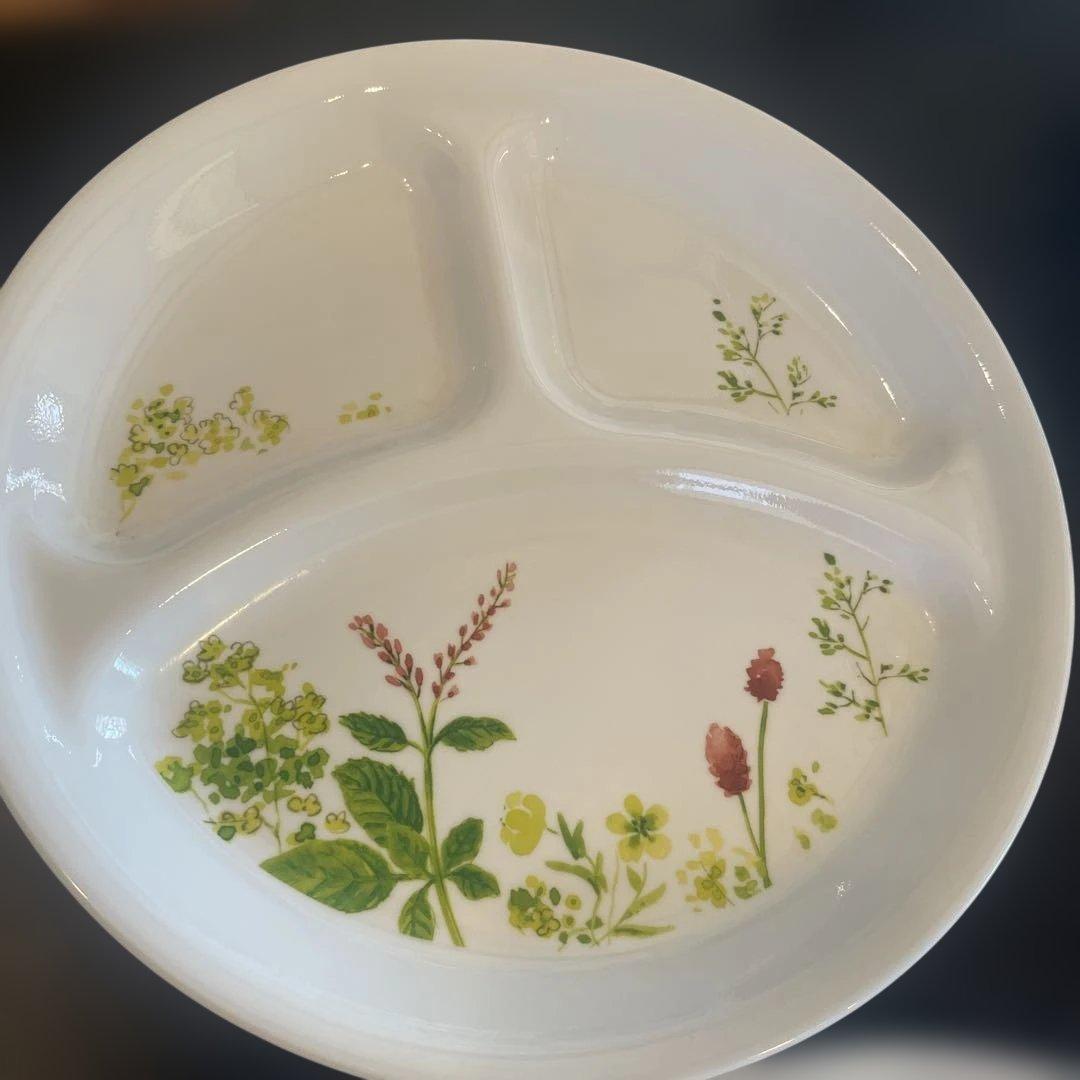 CORELLE コレール プロヴァンスガーデン 26㎝ 4枚セット　ワンプレート