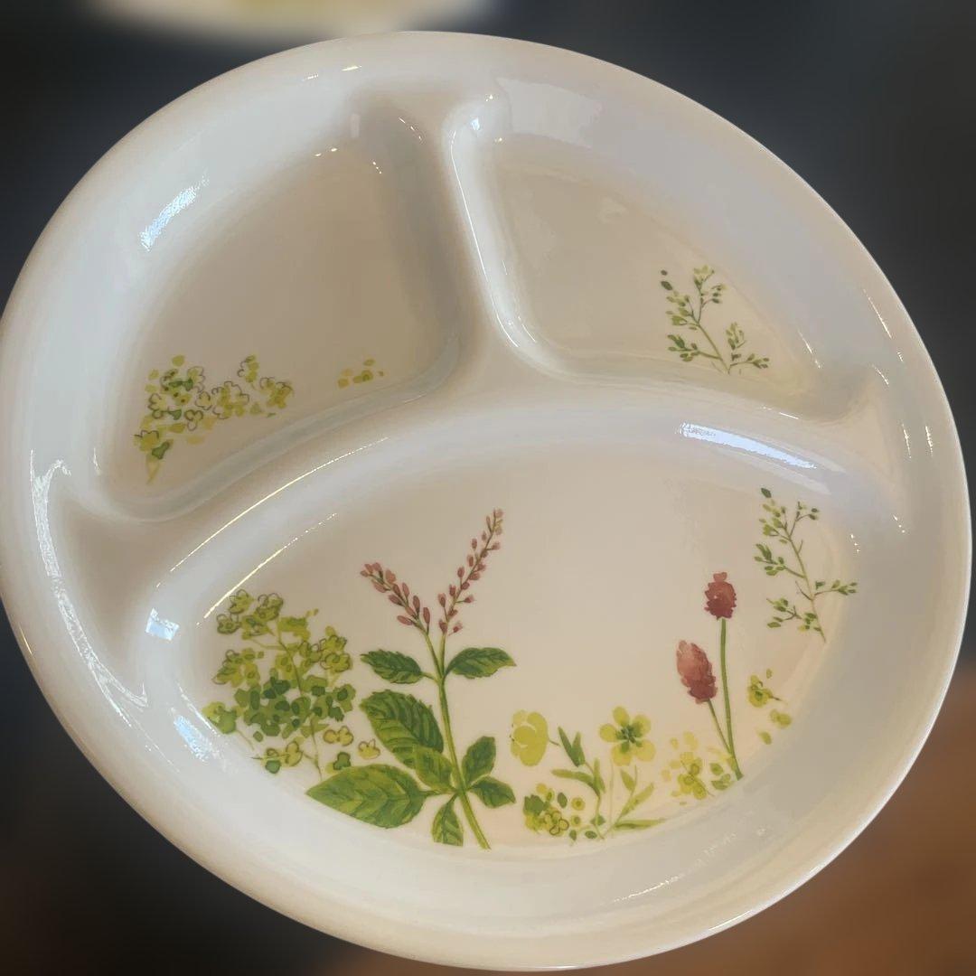 CORELLE コレール プロヴァンスガーデン 26㎝ 4枚セット　ワンプレート