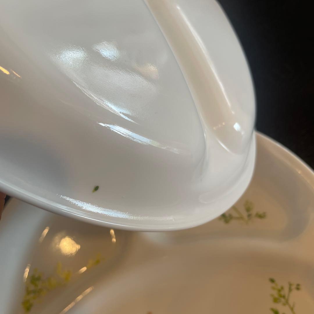 CORELLE コレール プロヴァンスガーデン 26㎝ 4枚セット　ワンプレート