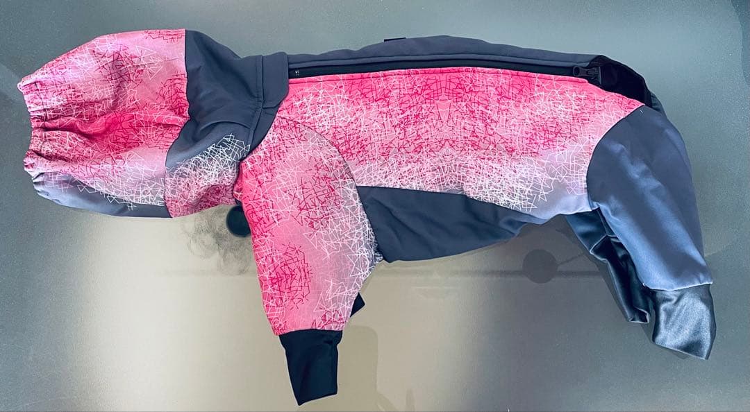 アルファアイコン　スノードッグガード　SM