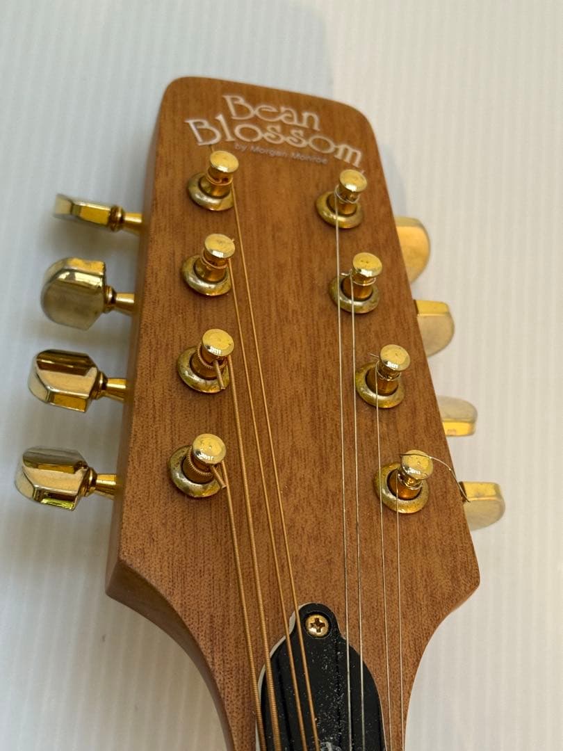 フラットマンドリンBeanBlossom By Morgan Monroe