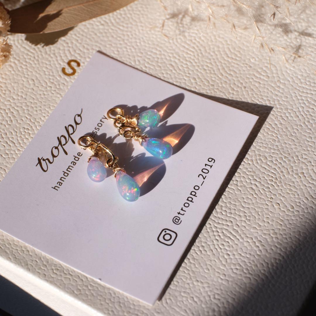 たぁ(ฅ✧ω✧ฅ)