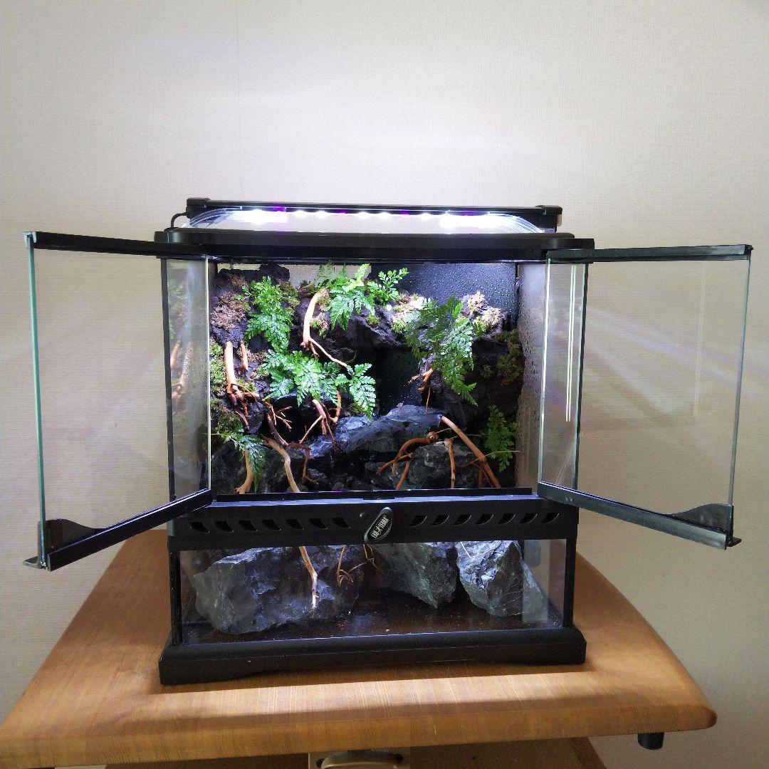【受注生産】アクアテラリウム グラステラリウム