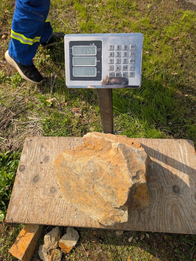 ジュリエットページ