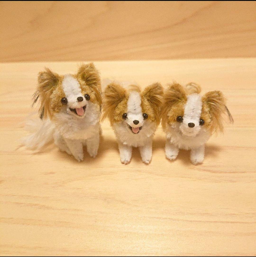 オーダー パピヨン