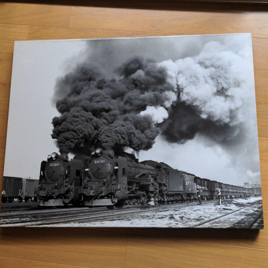 レア汽車？D511160D51767ツーショット白黒