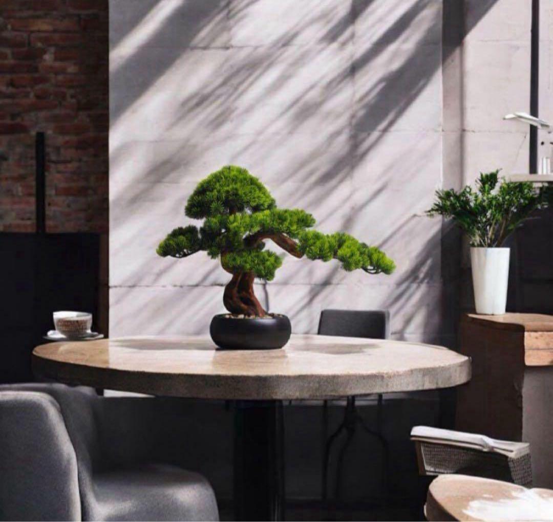 フェイク盆栽 盆栽 松 人工盆栽 フェイクグリーン 高品質 大型 幅50cm