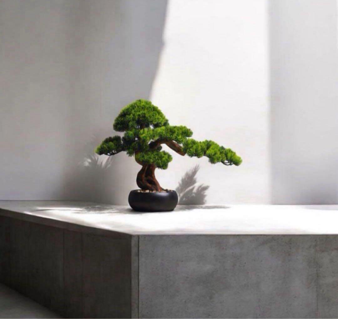 フェイク盆栽 盆栽 松 人工盆栽 フェイクグリーン 高品質 大型 幅50cm