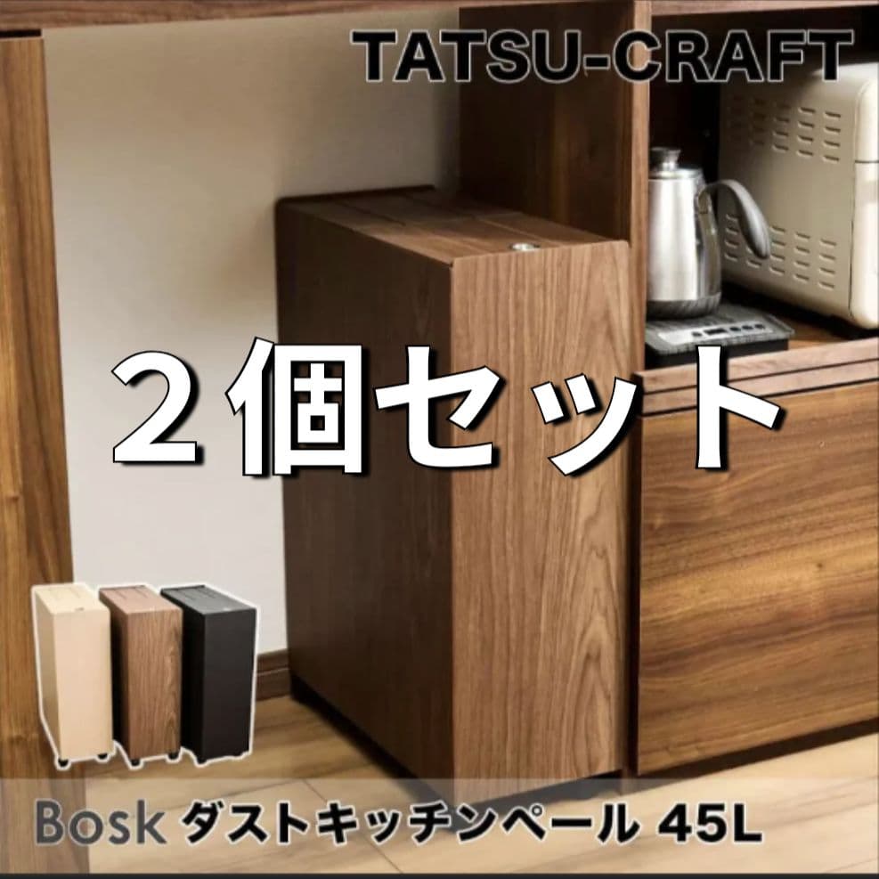 2個セット タツクラフト 45L ごみ箱 フタ付き 橋本達之助工芸　日本製