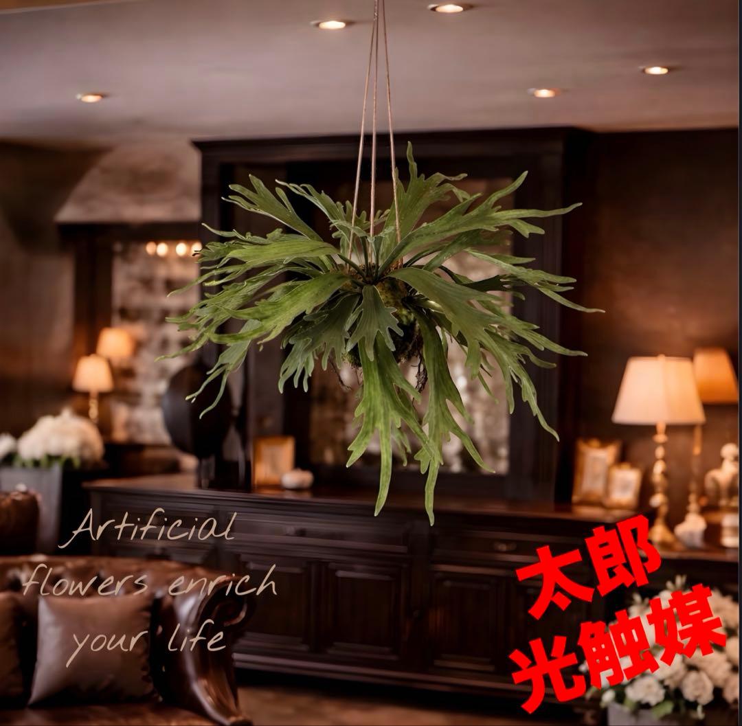 光触媒　人工観葉植物　ウォールグリーン　フェイクグリーン　コウモリランモスボール