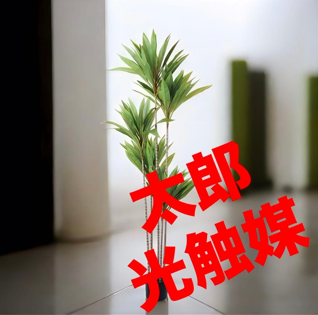光触媒　人工観葉植物　ウォールグリーン　フェイクグリーン　ドラセナゴルジリネ15