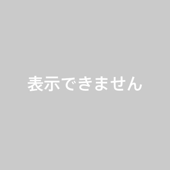 Hロゴ Hパンチング ショルダーバッグ ショルダーストラップ2本付き 最高級革