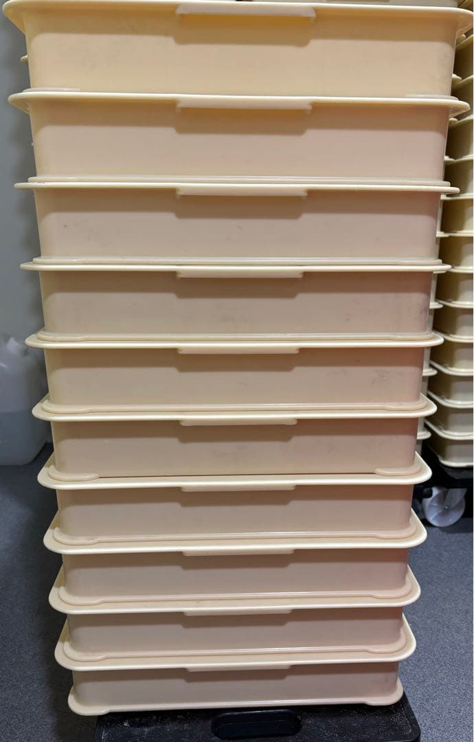 サンコー重箱10個セット　三甲ばんじゅう