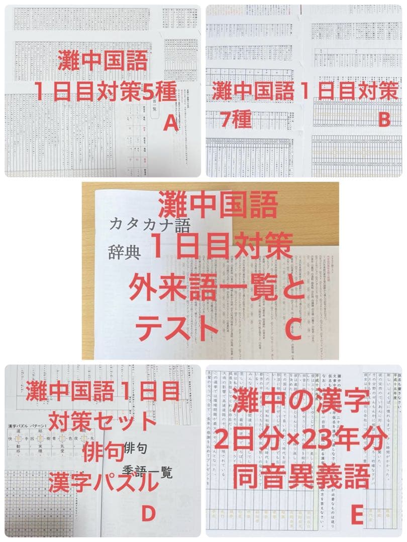 灘中国語対策　ABCDE 国語知識13種+外来語+俳句+漢字パズル+過去問漢字
