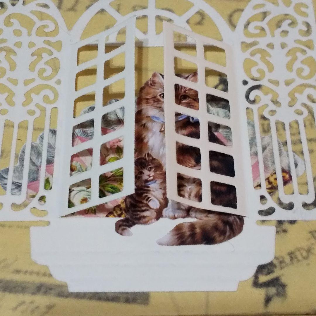 ジャバラファイル　ヴィクトリアン　猫ちゃん　レース