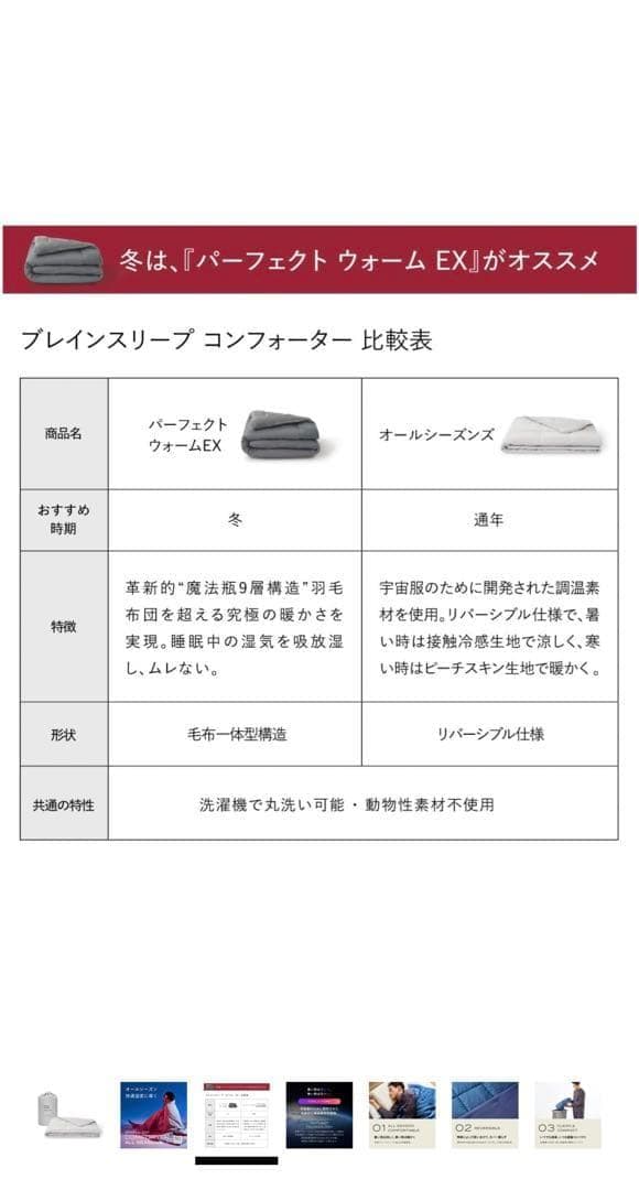 BRAIN SLEEP オールシーズン 掛け布団　クイーンサイズ