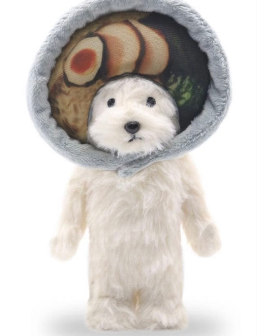 専用　クマノミ以外2点