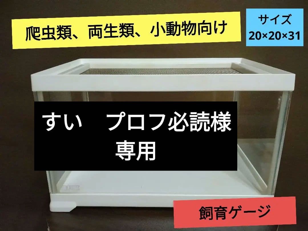 エキゾテラ　飼育ゲージ 1〜6個希望数売　昆虫、爬虫類、両生類　20×20×31