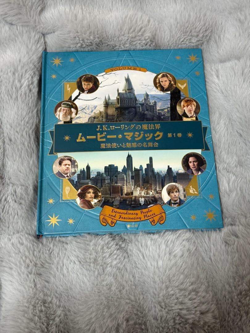 ハリー・ポッター ファンタスティックビースト まとめ売り