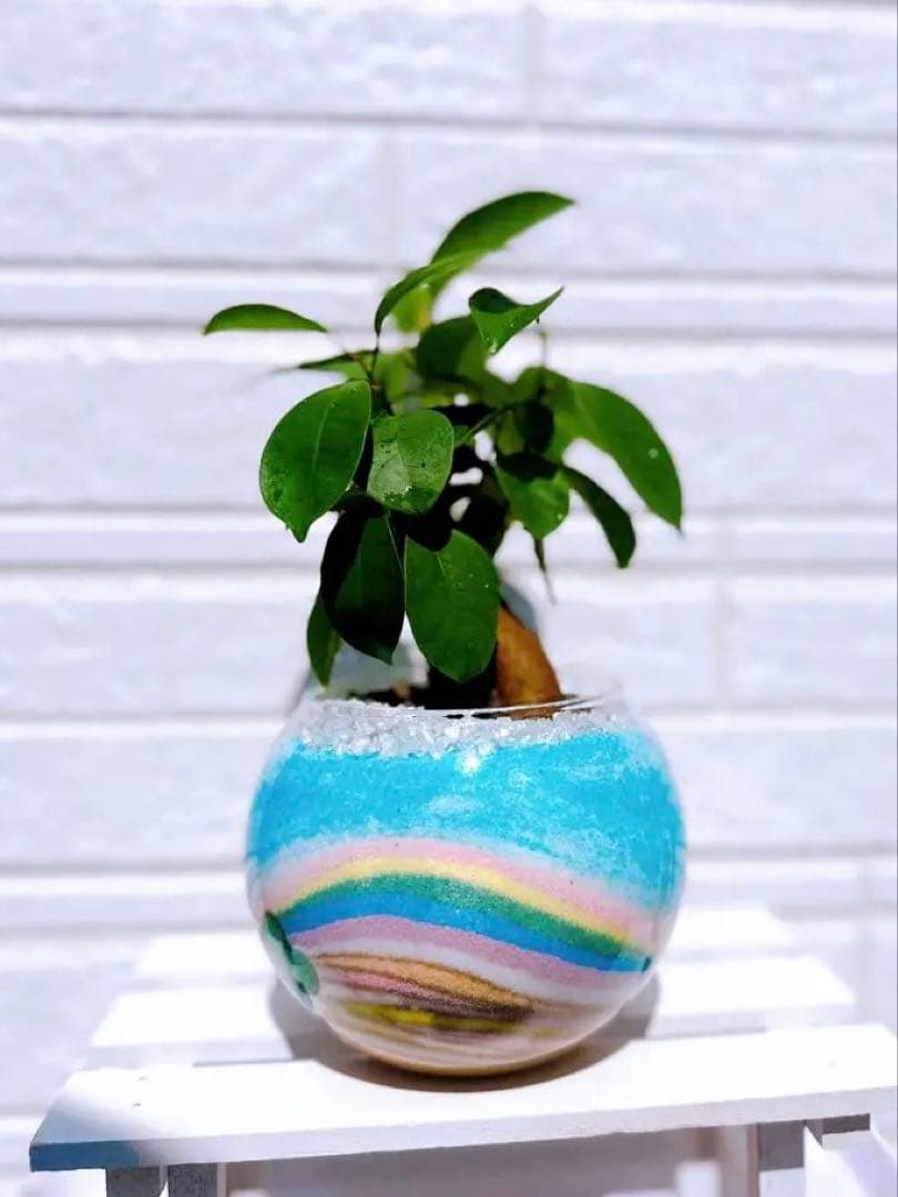 オーダー専用ページ