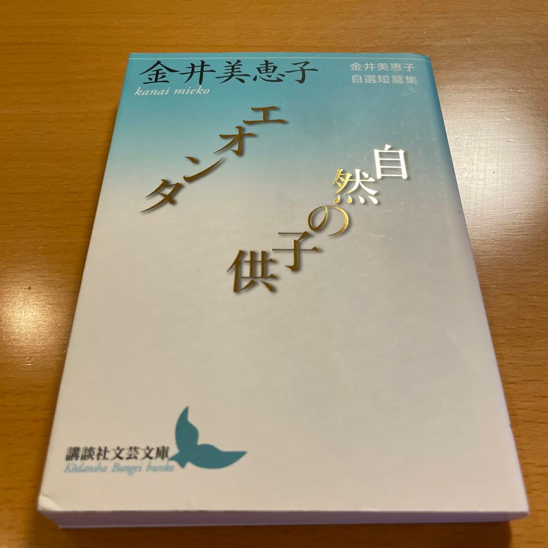 【絶版セット・希少・美品】 金井美恵子 自選短篇集 講談社文芸文庫 【匿名配送】