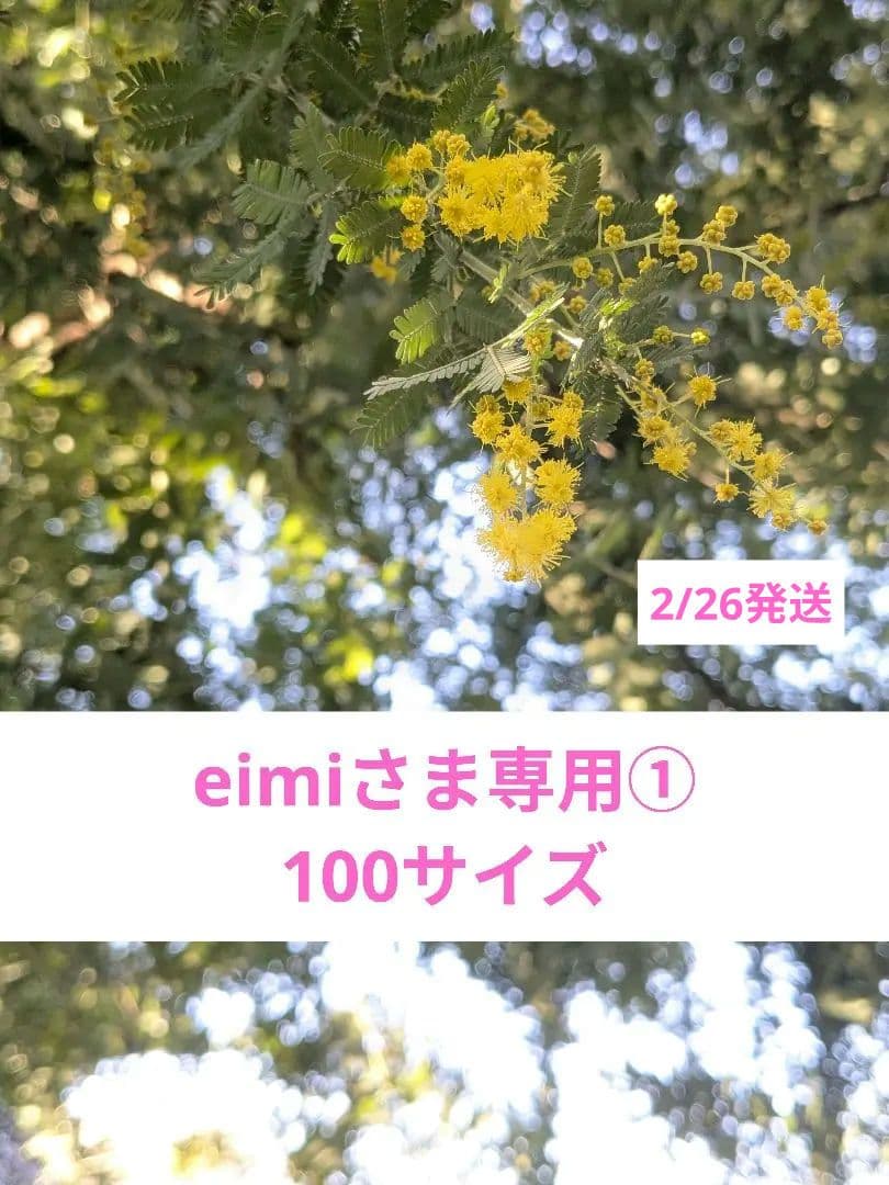 eimiさま専用①✨フレッシュミモザを花束にして(2/26発送)