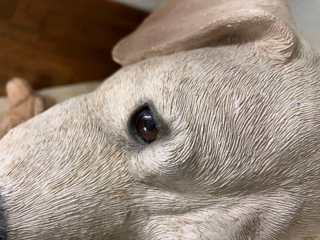 アメリカ·サンディキャスト(SANDICAST)社製　ラブラドール