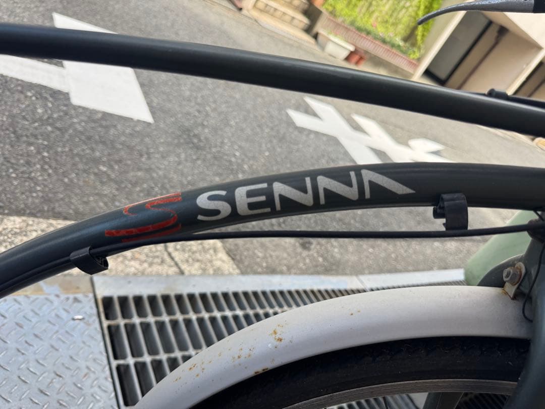 アイルトンセナ自転車