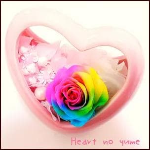 【高級プリザーブドフラワー】　レインボーローズ　ハートピンク