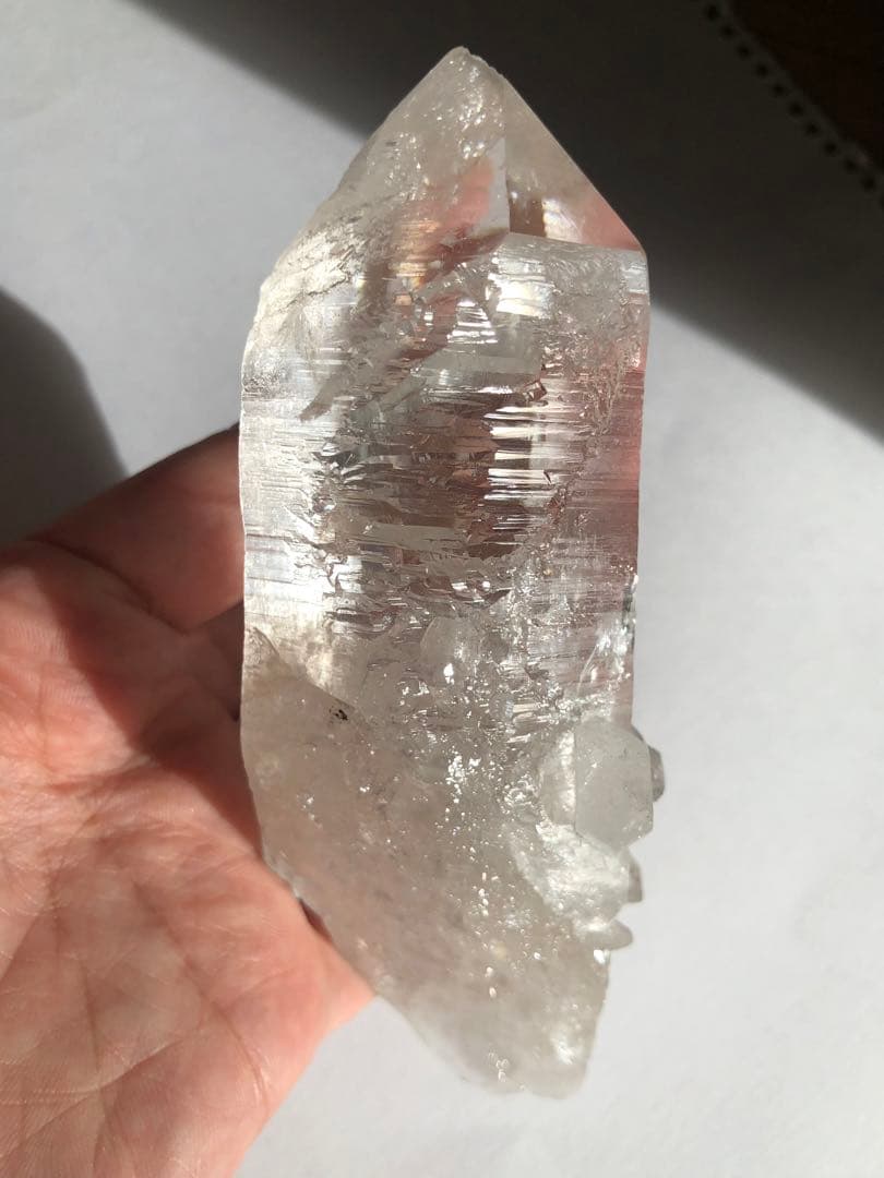 マニハール　レコードキーパー　セルフヒールド