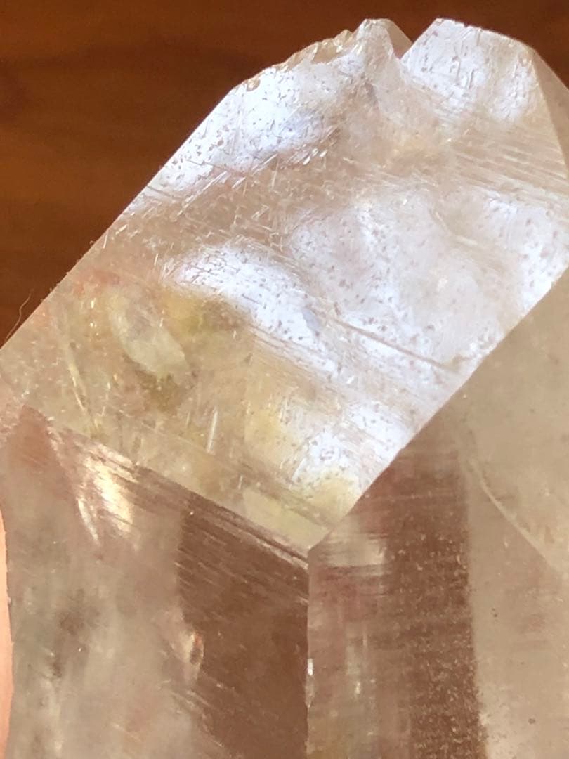 マニハール　レコードキーパー　セルフヒールド