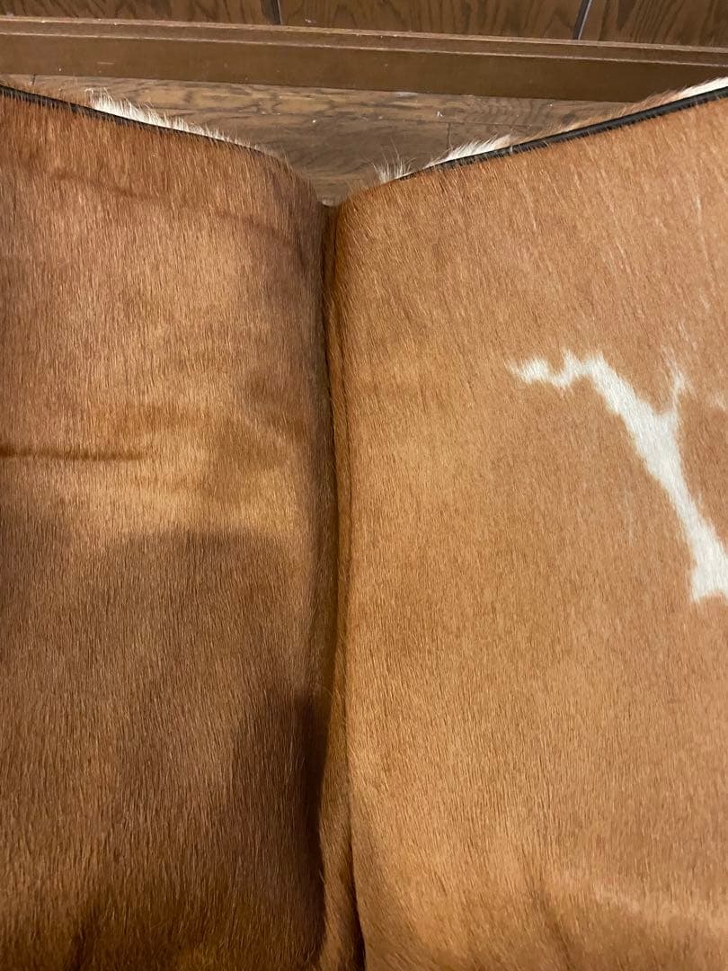 ル　コルビジェ（リプロダクト品）