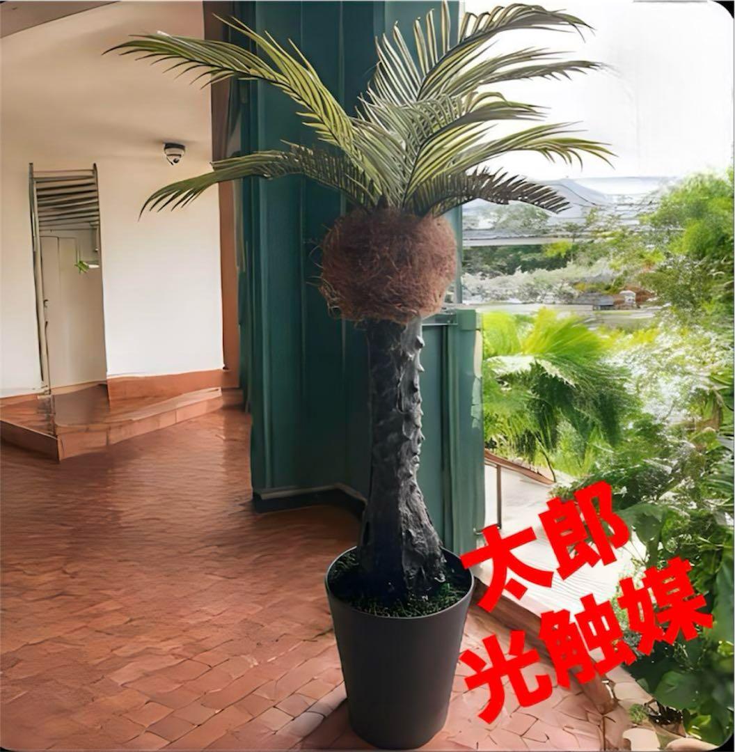 光触媒　人工観葉植物　ウォールグリーン　フェイクグリーン　フェニックス10560